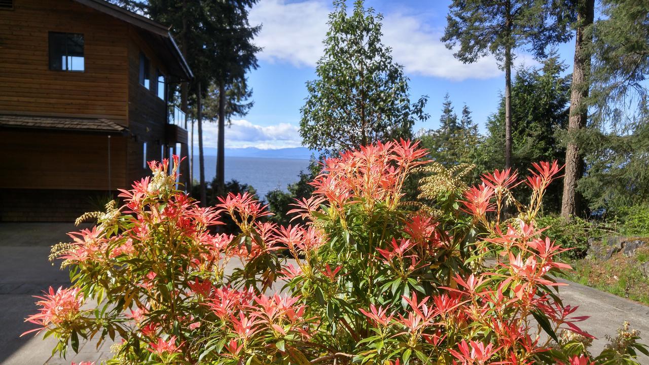 Sunshine Coast Treetop B&B Sechelt Eksteriør bilde