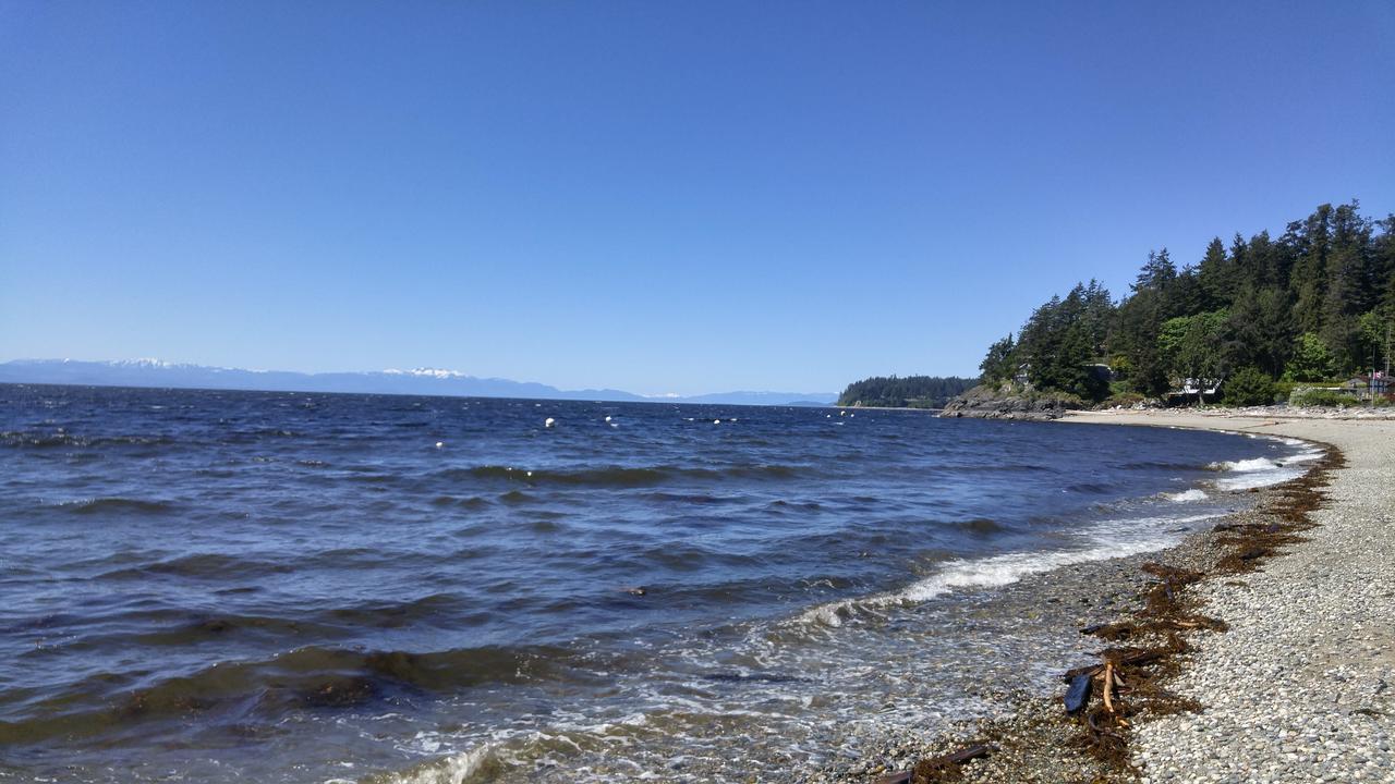 Sunshine Coast Treetop B&B Sechelt Eksteriør bilde