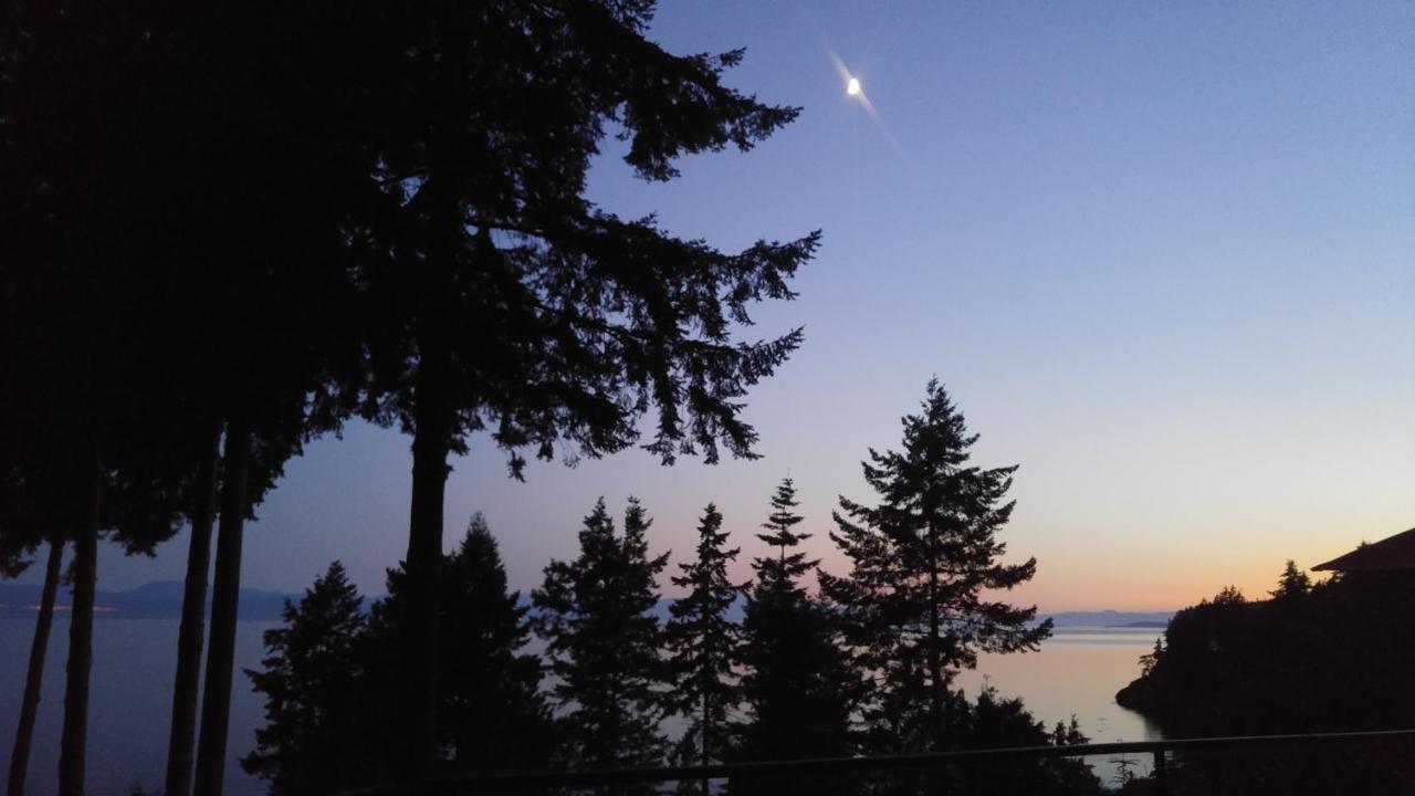 Sunshine Coast Treetop B&B Sechelt Eksteriør bilde